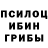Псилоцибиновые грибы прущие грибы Ilya Karpov