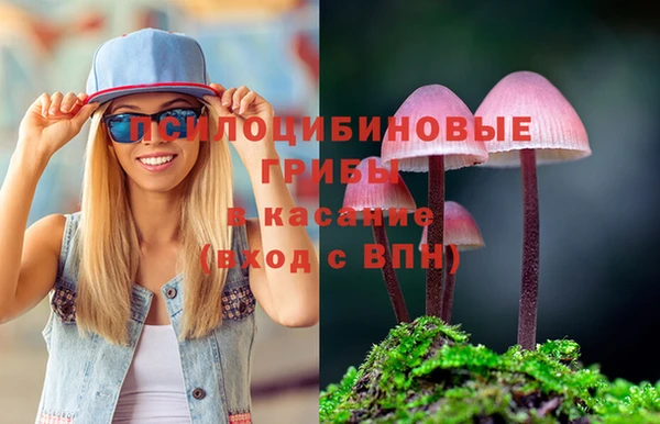 гашик Алзамай