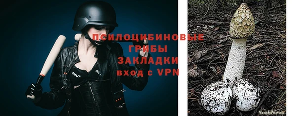 гашик Алзамай