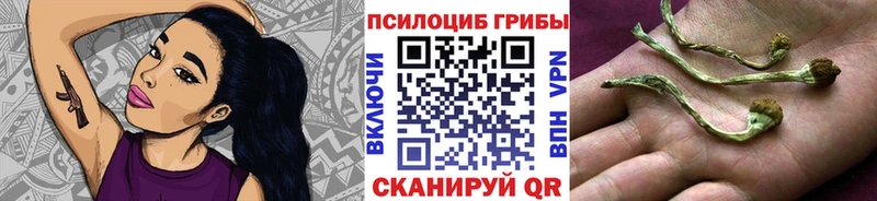 МЕГА сайт  Оса  Галлюциногенные грибы Psilocybe 